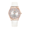 Montre ROADWIN Ambilight Diamond RW147258